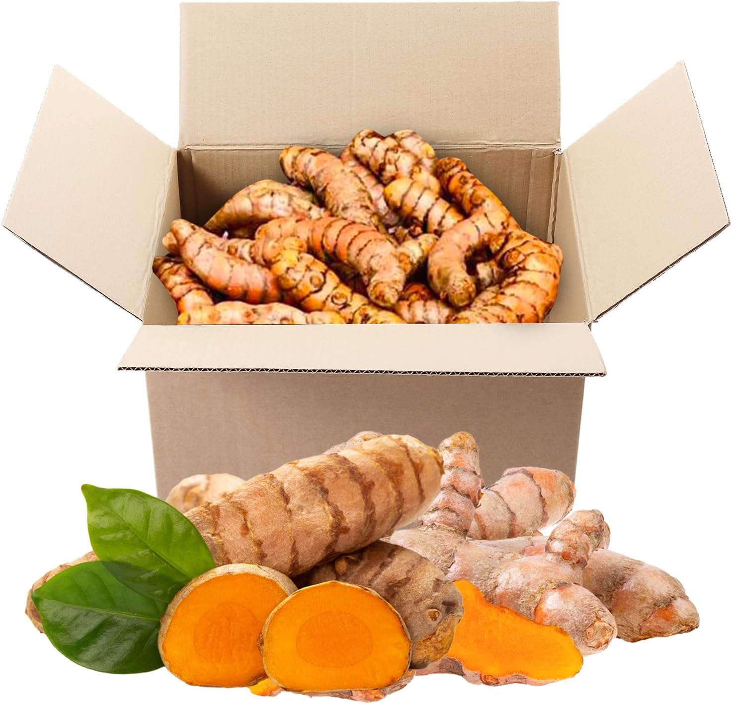 1 lb US Grown (Not from FIJI) Turmeric Root Box (Organic & Fresh), Proud To Support American Farmers & Beekeepers | Turmeric Zone