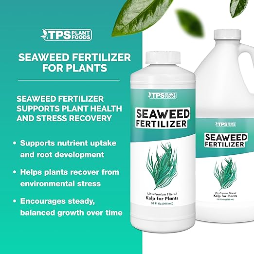 Fertilizante de algas marinas orgánico para plantas, 32 oz miniatura 2
