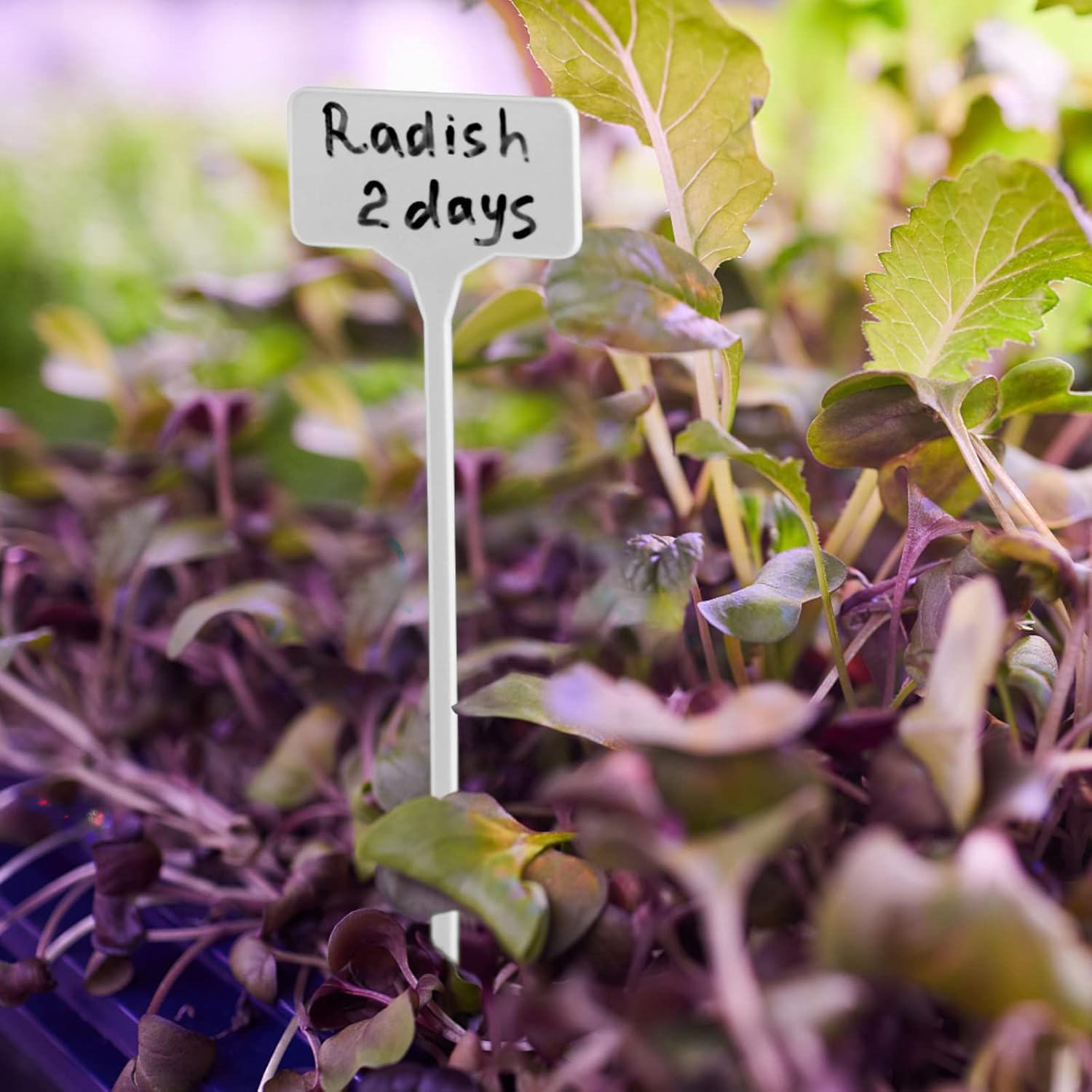 Plastic Plant Markers - Organize Your Garden -8 Plastic Plant Markers - Organize Your Garden -8