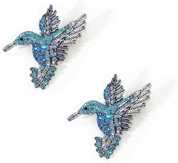 Amazon.com: 2Pcs Hummingbird Brooch for Women Rhinestone Blue Colorful ...