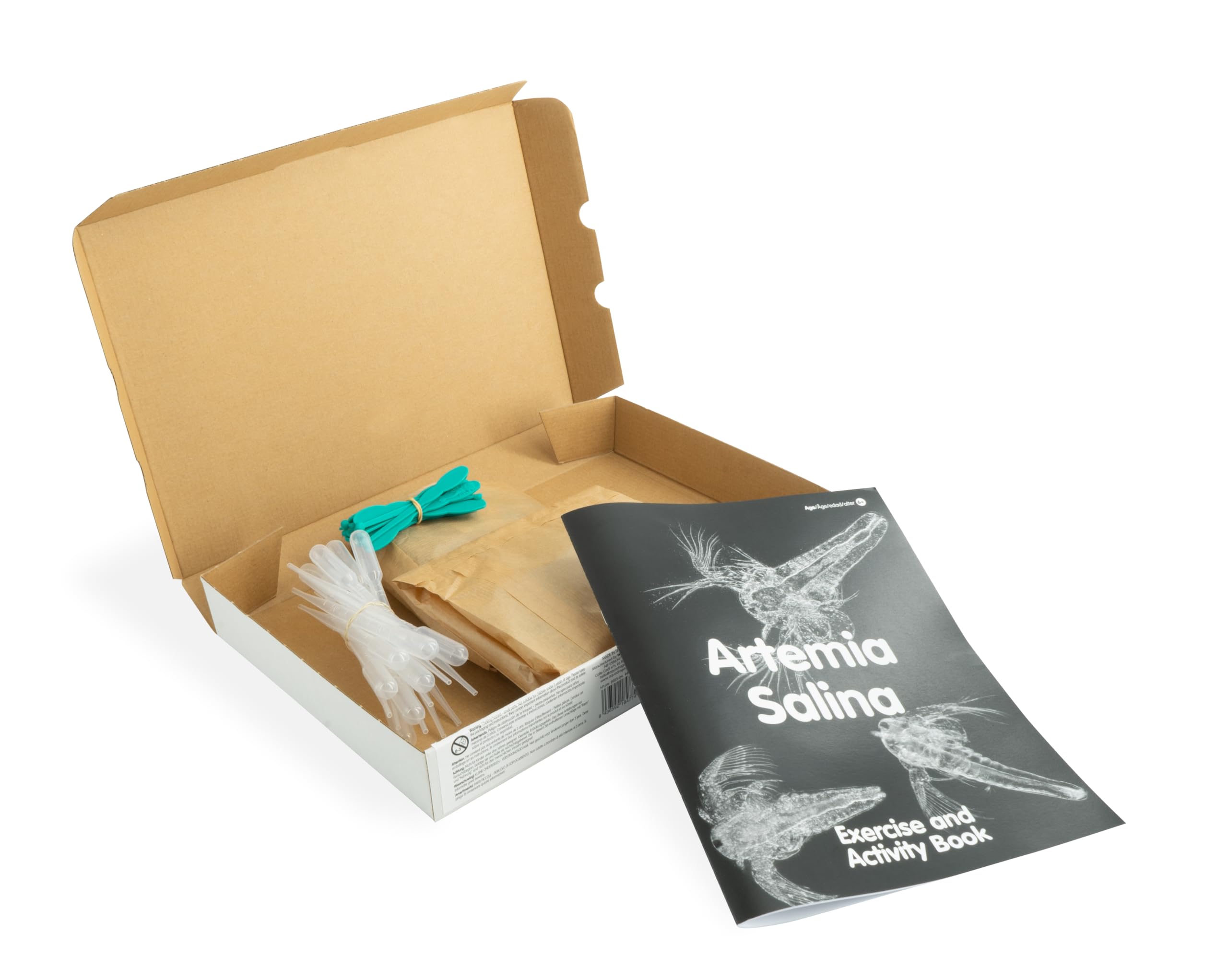 Aqua Dragons, Unterrichtsset zum Lebenszyklus-Studium, zum Schlüpfen, Wachsen und Lernen über Artemia Salina, für Schulkinder