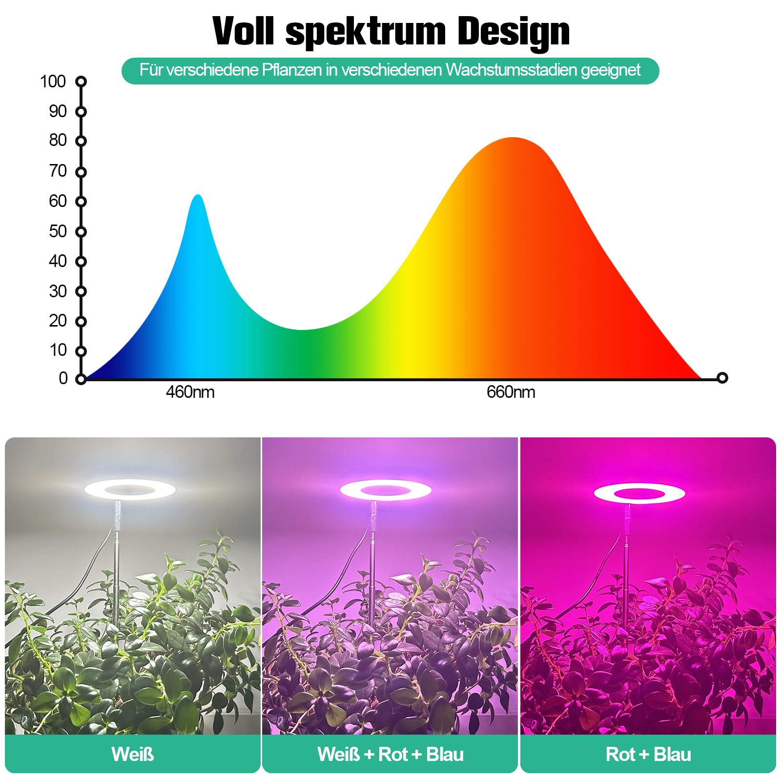 Jubor Pflanzenlampe LED 3 Köpfe - Vollspektrum Mit Timer & Dimmfunktion Für Zimmerpflanzen