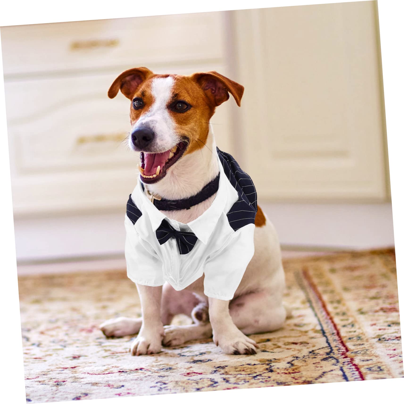 BESPORTBLE 5piezas Disfraz Formal para Mascotas Diseño Chic y Material Transpirable Ropa De Boda para Perros y Gatos para Eventos Especiales y Fiestas