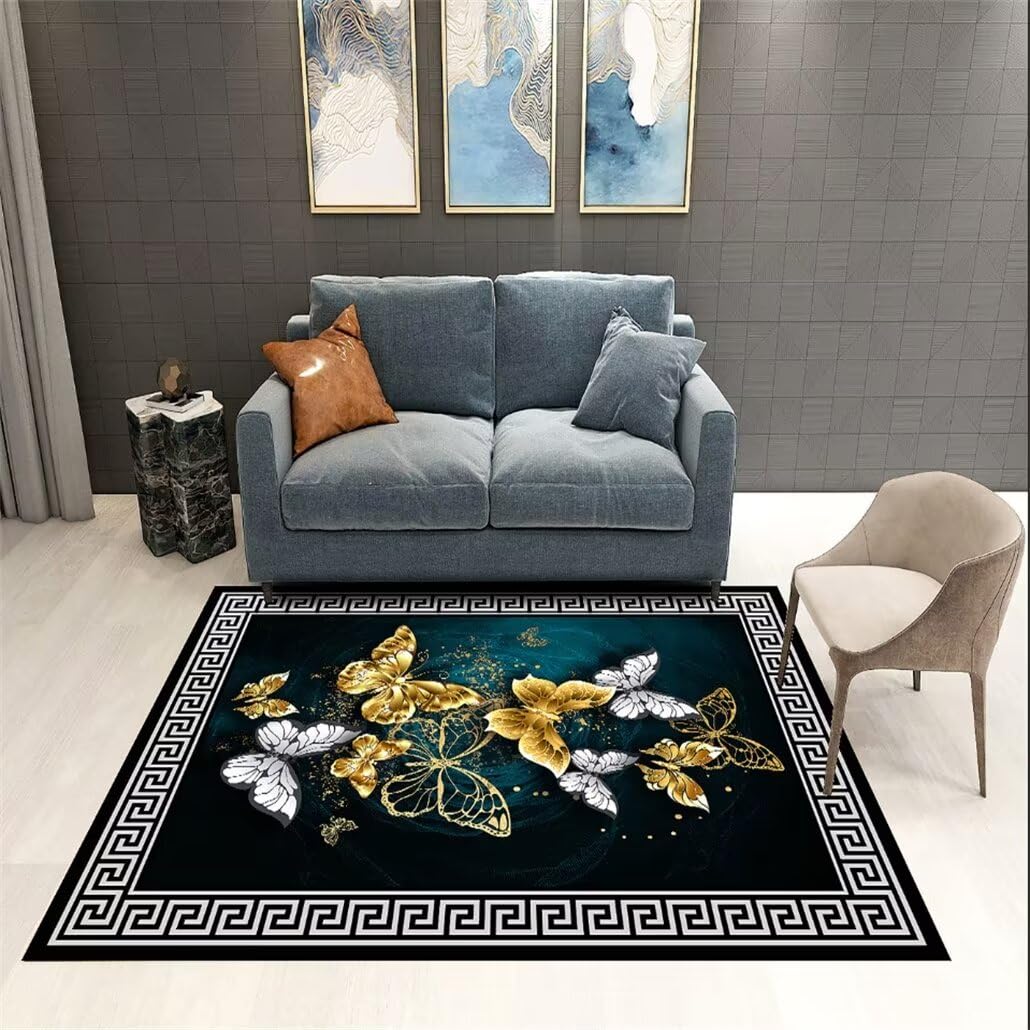 Tapis de sol noir résistant à l'usure 100x160 cm pour salon et couloir