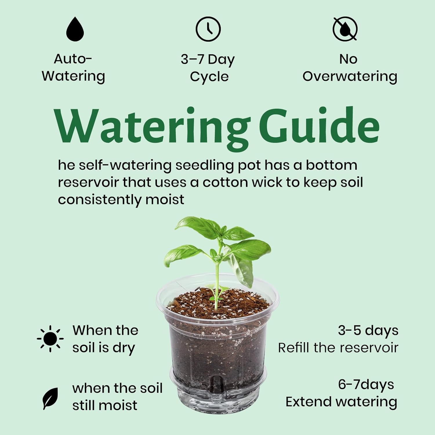 20 Pack 5 Inch Clear Self Watering Plant Pots with Bottom Water Tray & Watering Rope, Transparent Nursery Pots with Drainage for Seedlings, Herbs, and Houseplants - Image 6