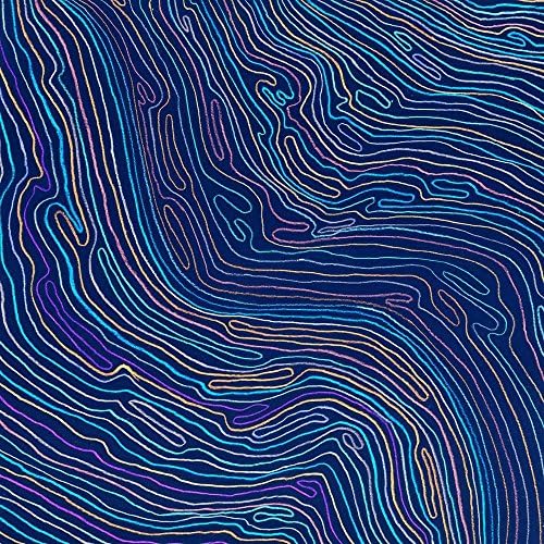 Pitaara Box Artwork D19 Unframed Canvas Painting 56 X 56Inch