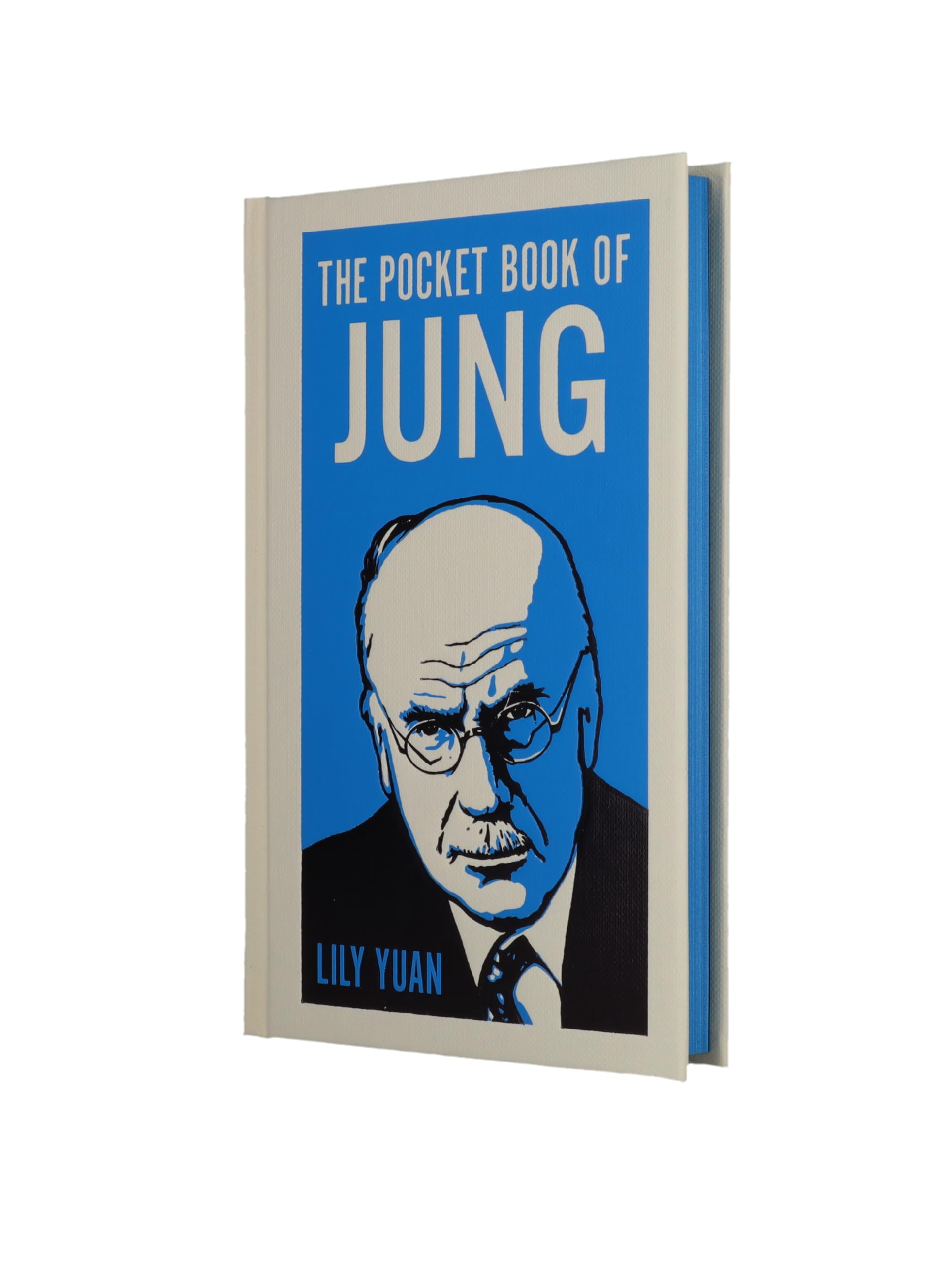The Pocket Book of Jung: A Concise Introduction to Jung’s Writings and Ideas (Arcturus Pocket Ideas)