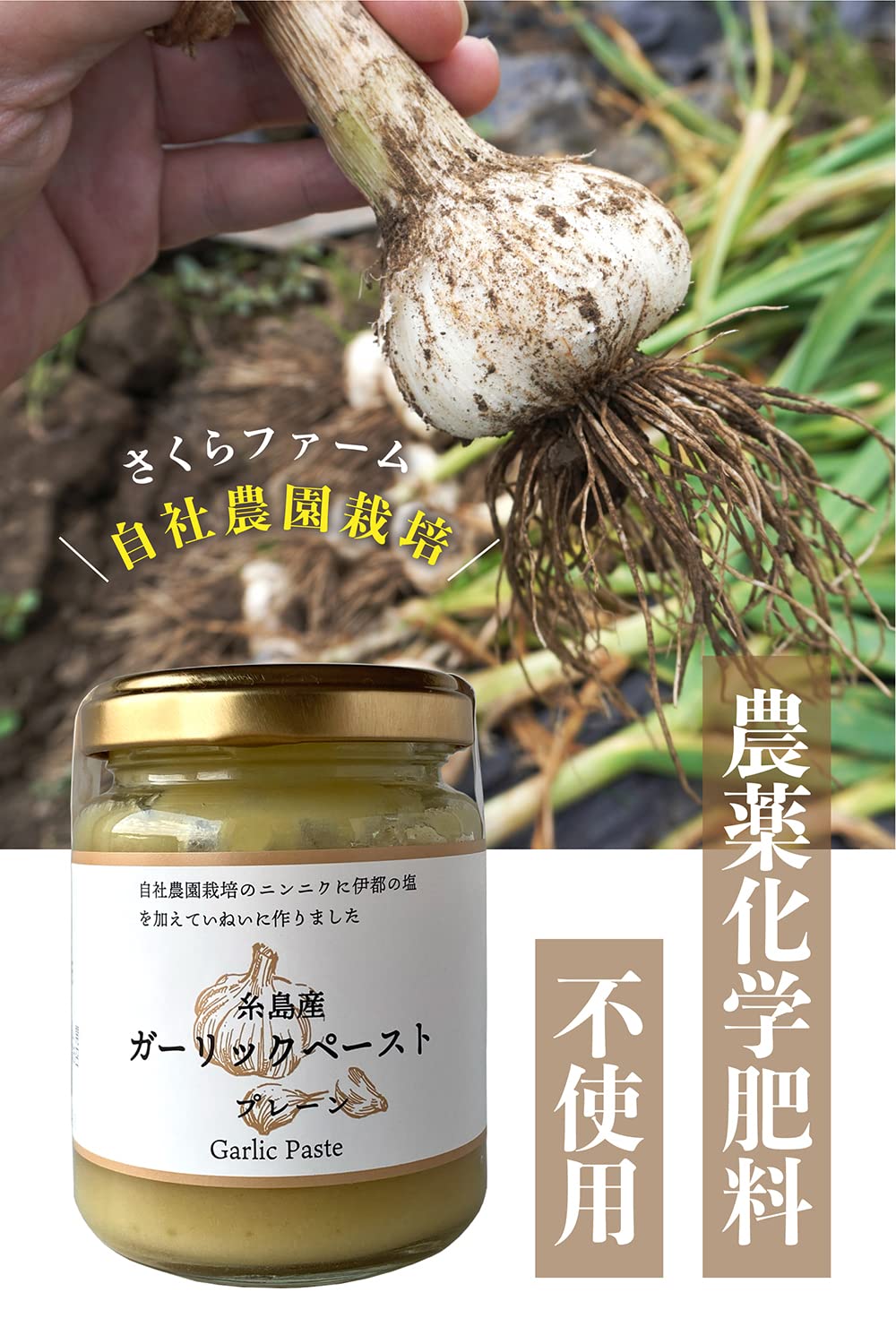 農薬不使用　にんにく　ニンニク　ガーリック Amazon.co.jp: さくらファーム 糸島産ガーリックペースト 110g×3個