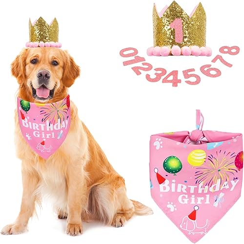 Miniatura 6 de ADOGGYGO Bandana de cumpleaños para perro, conjunto de sombrero para perro, cachorro, suministros para fiesta de cumpleaños, bandana para perro,
