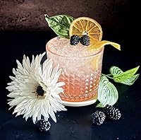 Vista 8 de Me Garnish Rebanadas de naranja deshidratada de 3.5 onzas para cócteles Más de 35 rebanadas de naranja secas Frutas secas para cócteles