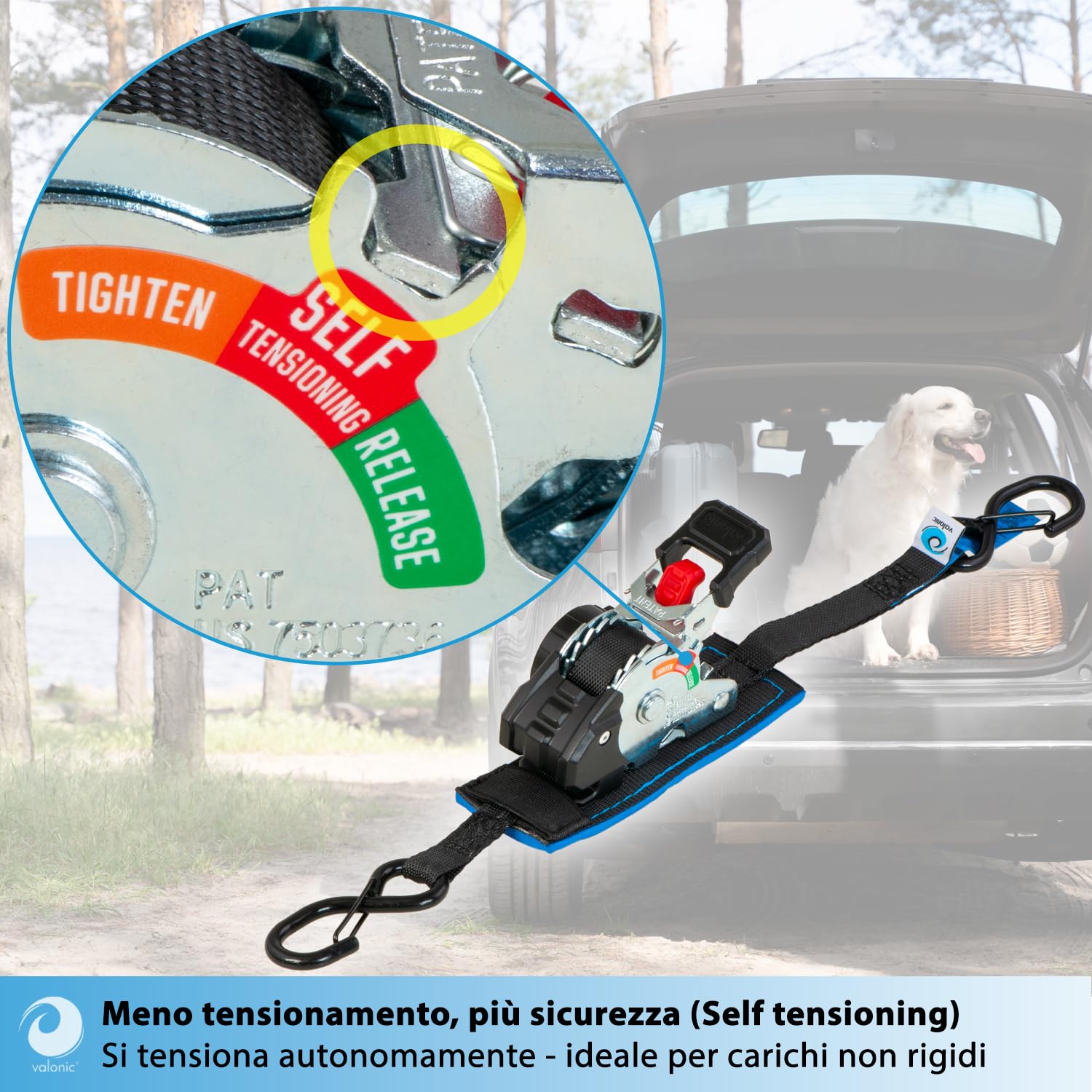 valonic FOX 2 m, mini cinghie a cricchetto, per fissaggio in furgone, set da 2, 150 kg forza di serraggio, 19 mm, cricchetto gommato