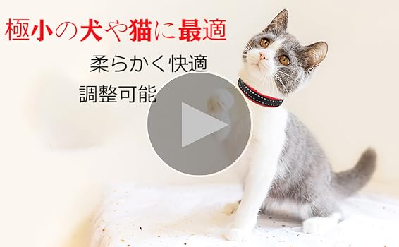 【Little MOM】３本セット✨世界にひとつ✨本革✨小型犬猫用首輪 3ac0f191526868ef362a1237b67d6b
