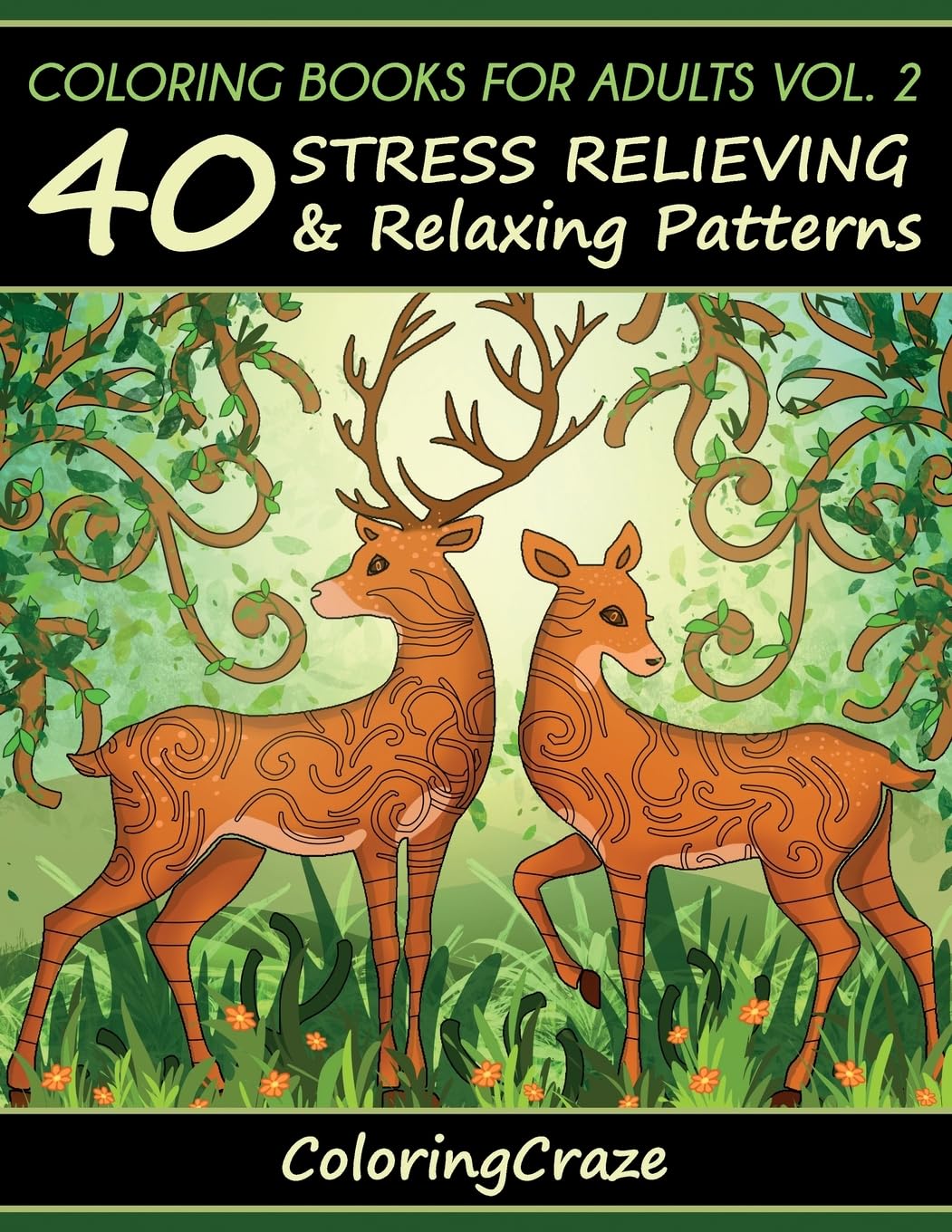 Coloring Books For Adults Volume 2: 40 Stress Relieving And Relaxing Patterns (Anti-Stress Art Therapy)