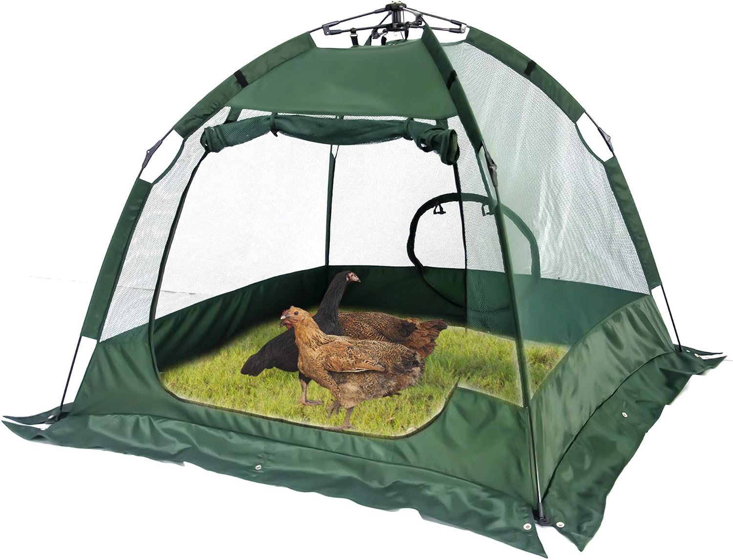 Portable Chicken Coop, Protected Chicken Run and Pet Enclosure, Easy Set-up and Fold-Down Net Cage, Chickens Pen with a Carry Bag…