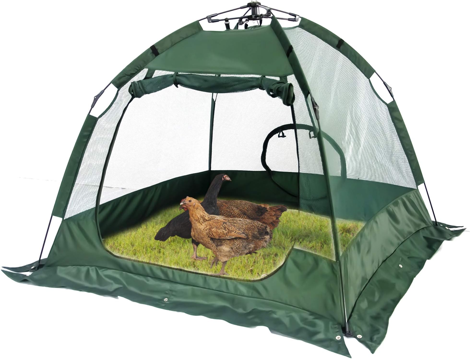 Portable Chicken Coop, Protected Chicken Run and Pet Enclosure, Easy Set-up and Fold-Down Net Cage, Chickens Pen with a Carry Bag (Green, No Bottom)