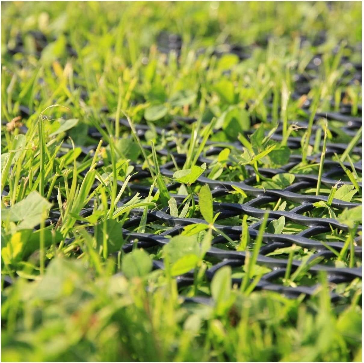 Rete di Supporto for Piante rampicanti 10M, Rete for Recinzione da Giardino Rete for Allevamento di pollame Rete Piatta in plastica Rete di Sicurezza for Bambini Rete di Protezione for Erba Reti