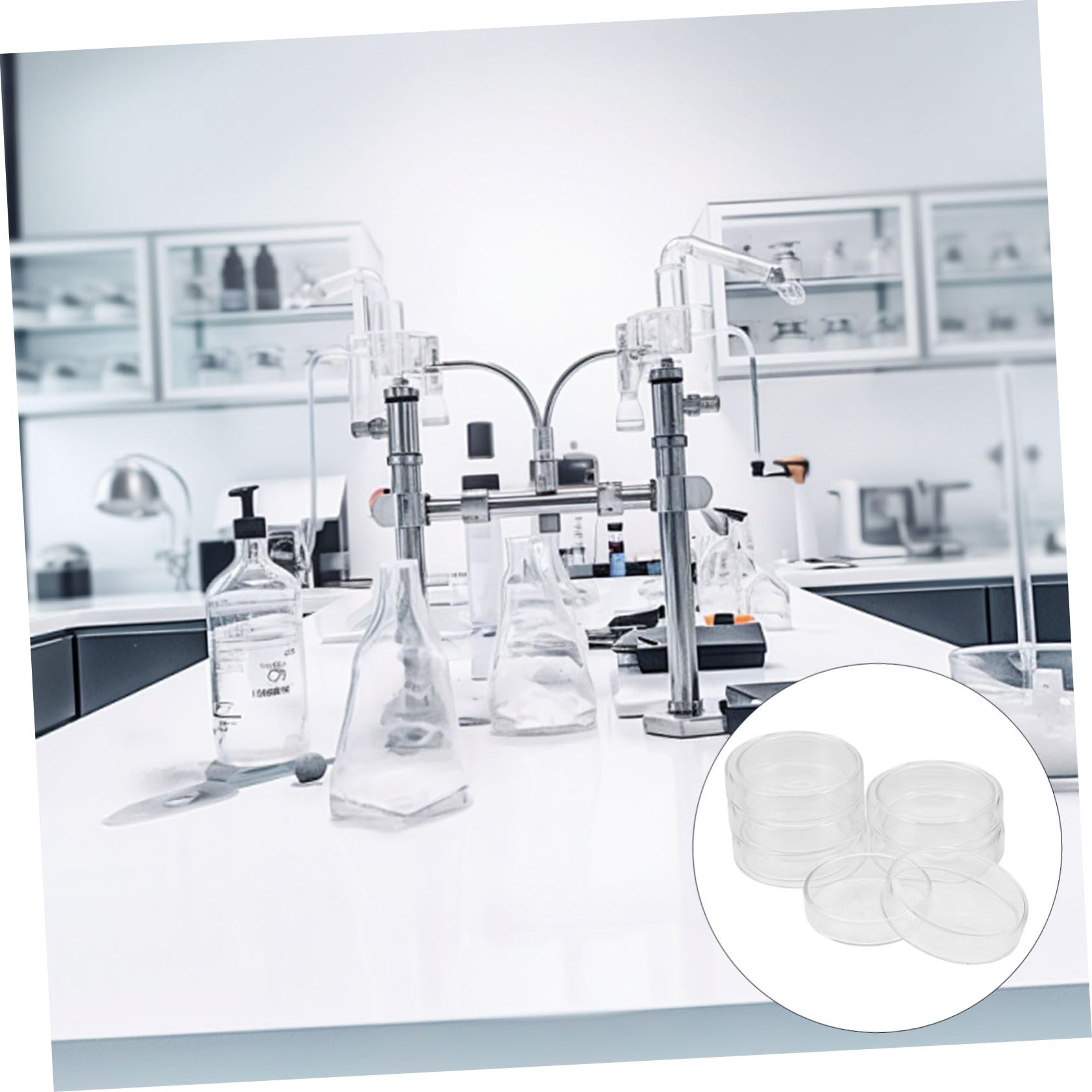 Baluue 6stücke Petrischalen Labor-petrischale mit Deckel Transparente Zell Petrischalen Hitzebeständiges Glas für Labor und Chemie-einsatz Wiederverwendbar und Robust für Experimente