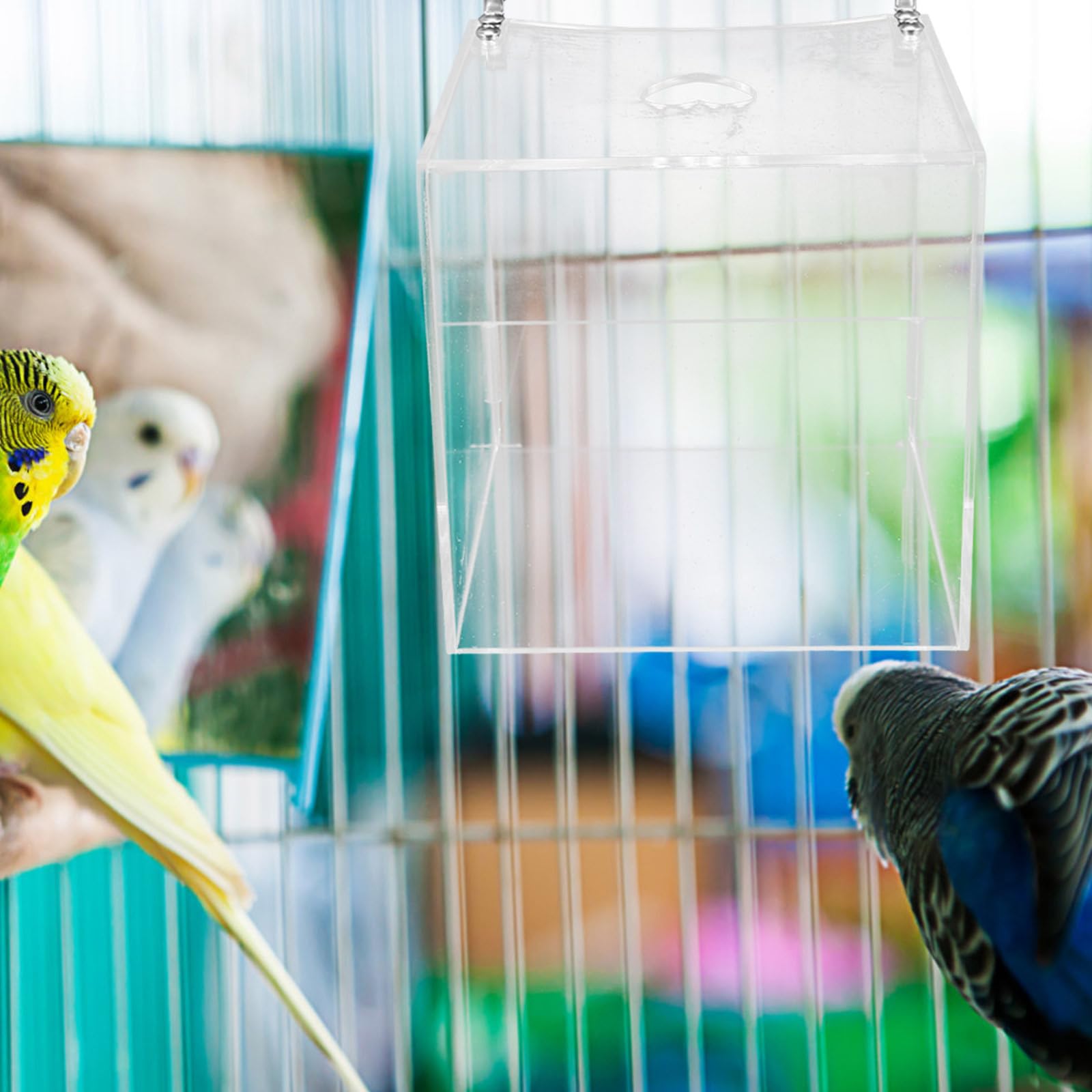 Praktisches Käfigzubehör Transparente Vogelbadewanne aus Acryl zur Hautbefeuchtung und Reinigung für Papageien und Vögel im Vogelkäfig