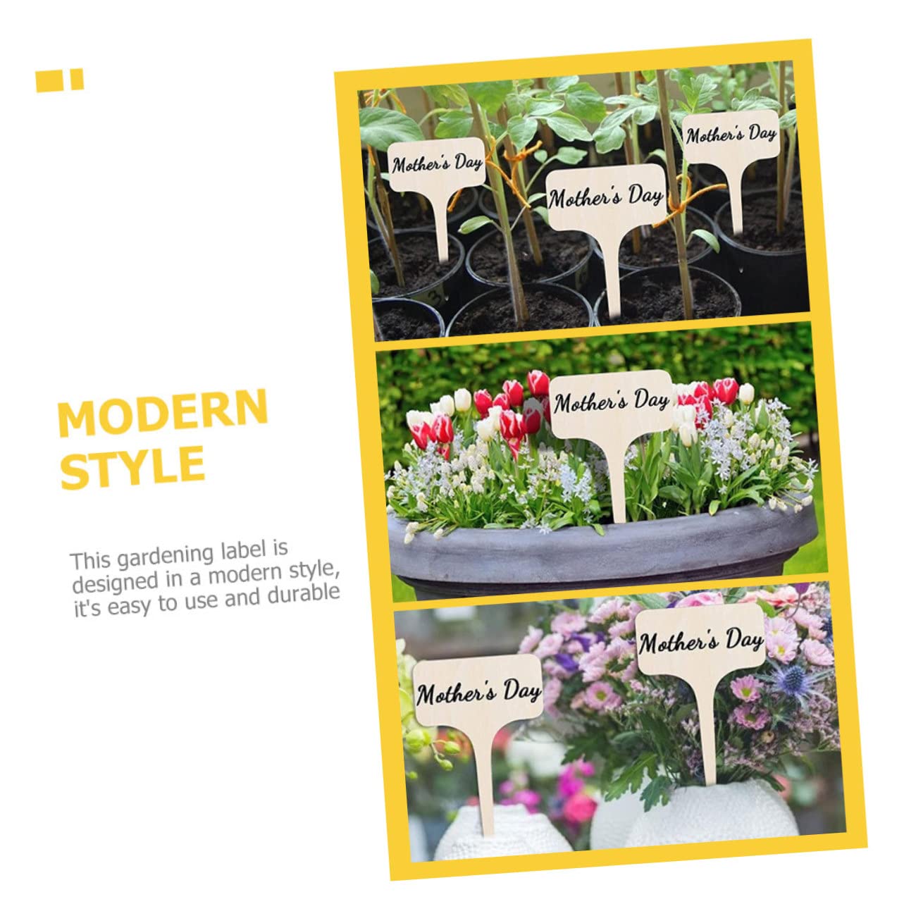 Toddmomy 5 Ensembles Étiquettes De Plantes Marqueurs Jardin Bamboo Étiquettes Vides Pour Identifier Fleurs Plantes Accessoires Pratiques Pour Pots 20 Pièces * 5