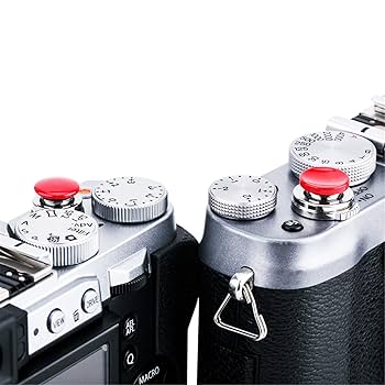 OLYMPUS OM-1 シャッターおります。 OLYMPUS OM-1 シャッターおります。 OLYMPUS OM-1 | 東京カメラ