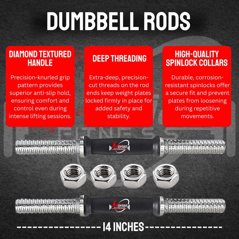 Image of Home Gym Set 40KG, Rubber Weight Plates, Dumbbell Rods & Barbell Rods, Curl & Straight Barbell Rods, Hand Grips, Jump Rope, Gym Gloves - Full Body Workout Fitness Kit for Men & Women