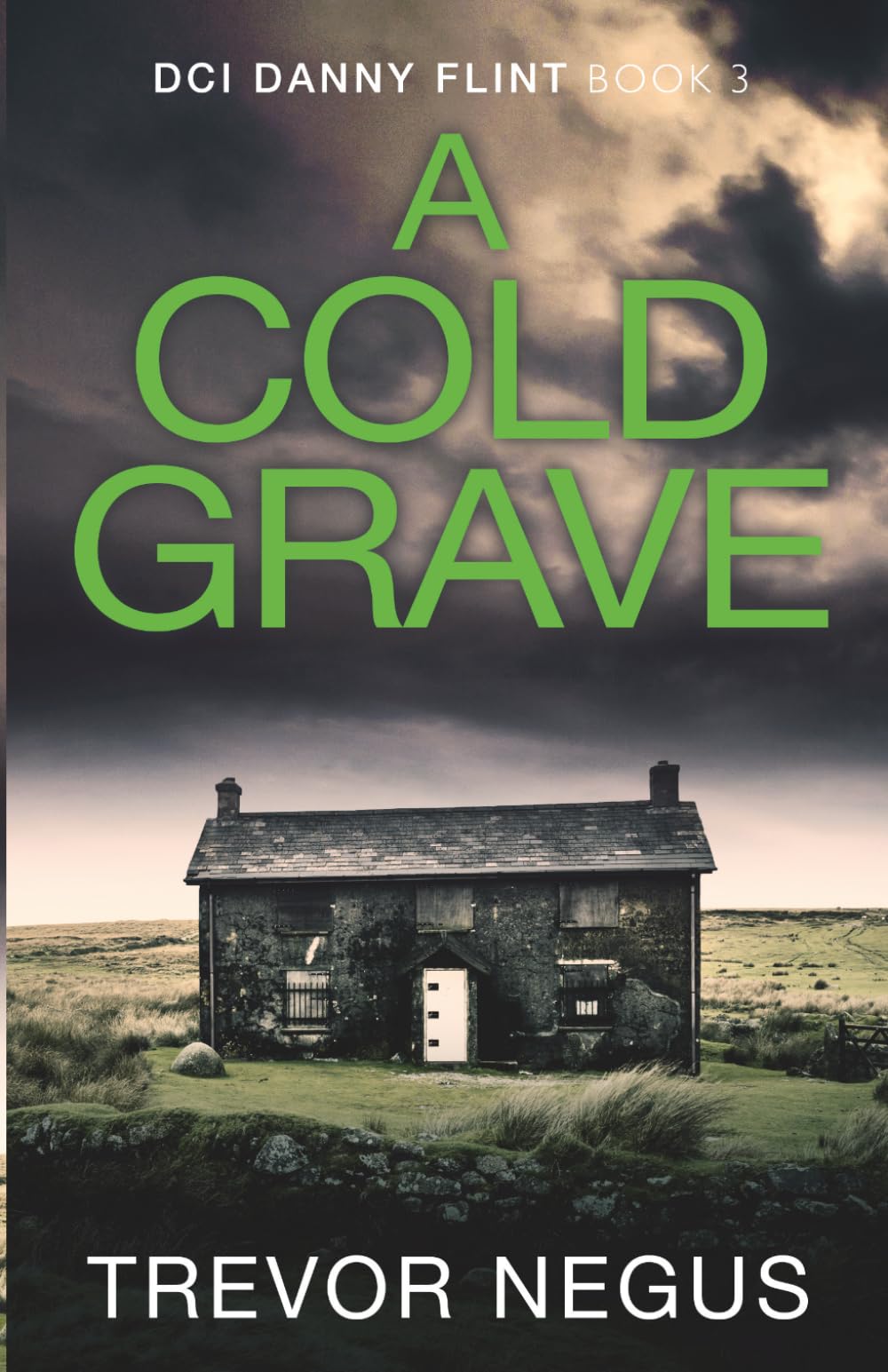 A Cold Grave: A gripping serial killer thriller (DCI Danny Flint)