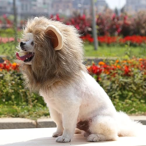 Miniatura 5 de Mummumi Sombrero para mascotas, paquete de 2 sombreros de melena de león para perro, para fiesta de Halloween, cosplay, disfraz ajustable de melena