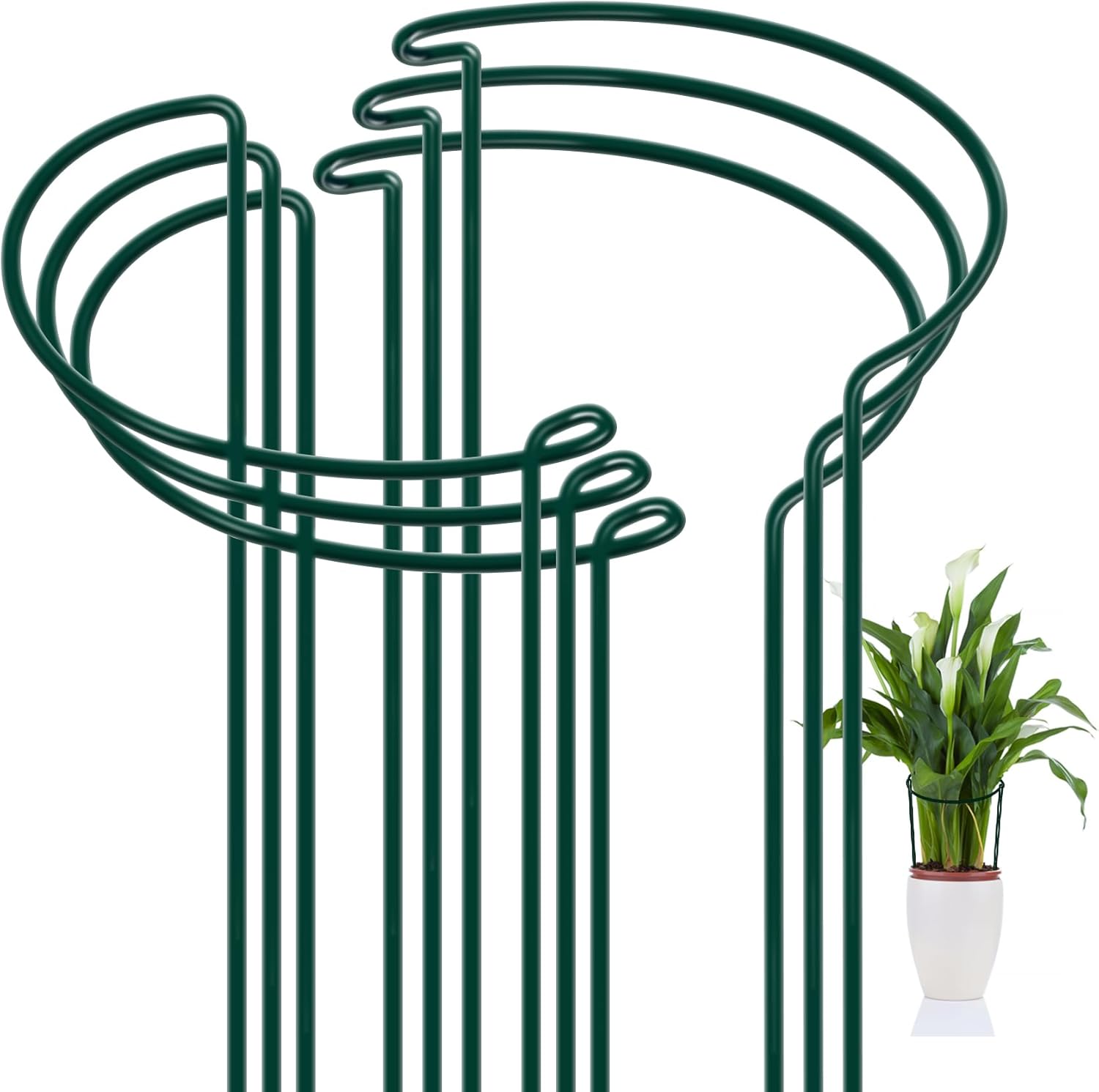 FEED GARDEN 6 Pack Plant Support Stakes, Metal Garden Plant Stake(10″ Wide x 16″ High) Green Half Round Plant Support Rings for Potted Plants, Plant Cage for Tomato, Hydrangea