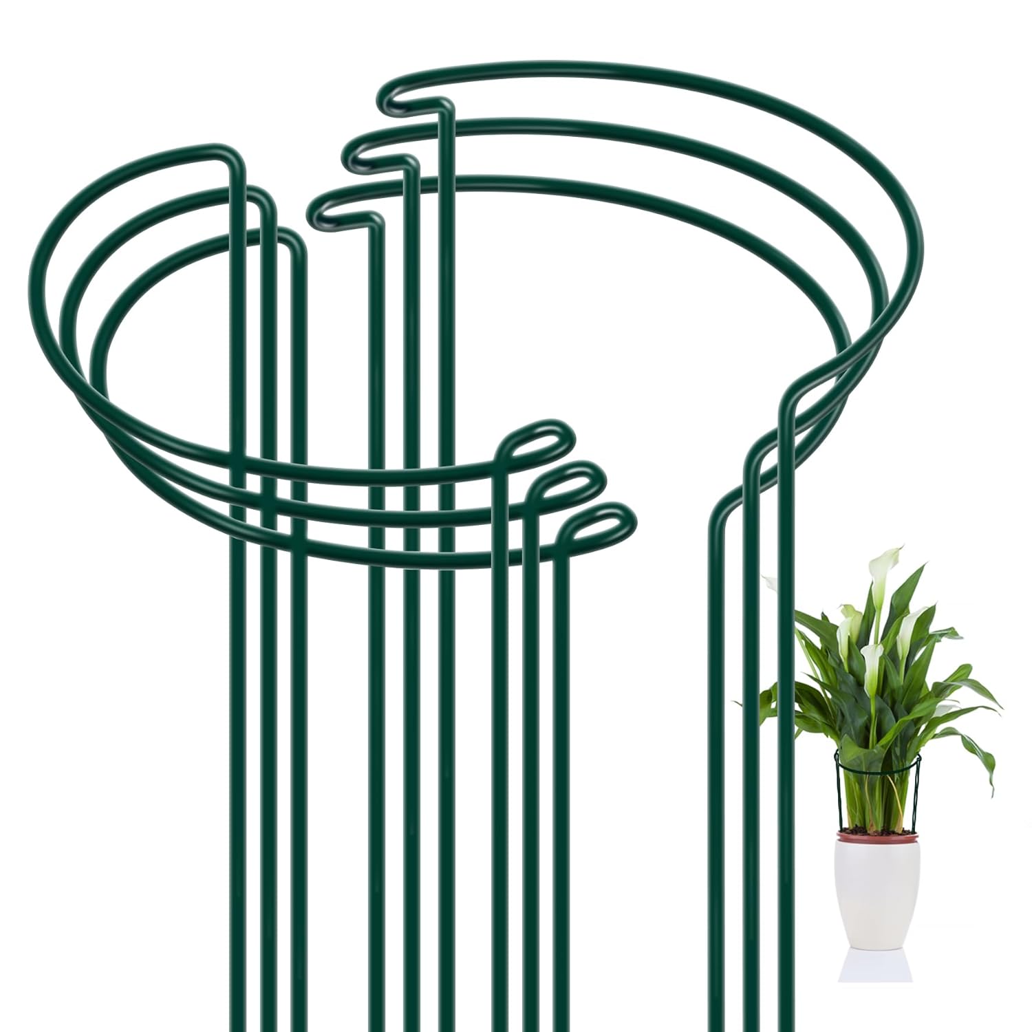 FEED GARDEN 6 Pack Plant Support Stakes Peony Cages and Supports Metal Garden Plant Stake 10 Wide x