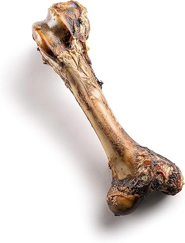Miniatura 2 de Jack&Pup Mammoth - Huesos grandes para perros grandes, huesos de carne de fémur de 15 pulgadas para masticadores agresivos, hueso de perro gigante