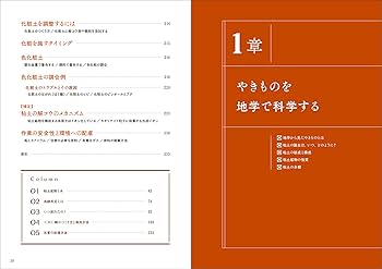 焼き物実践ガイド　樋口わかな著 焼き物実践ガイド: 陶器づくりますます上達 | 樋口 わかな |本