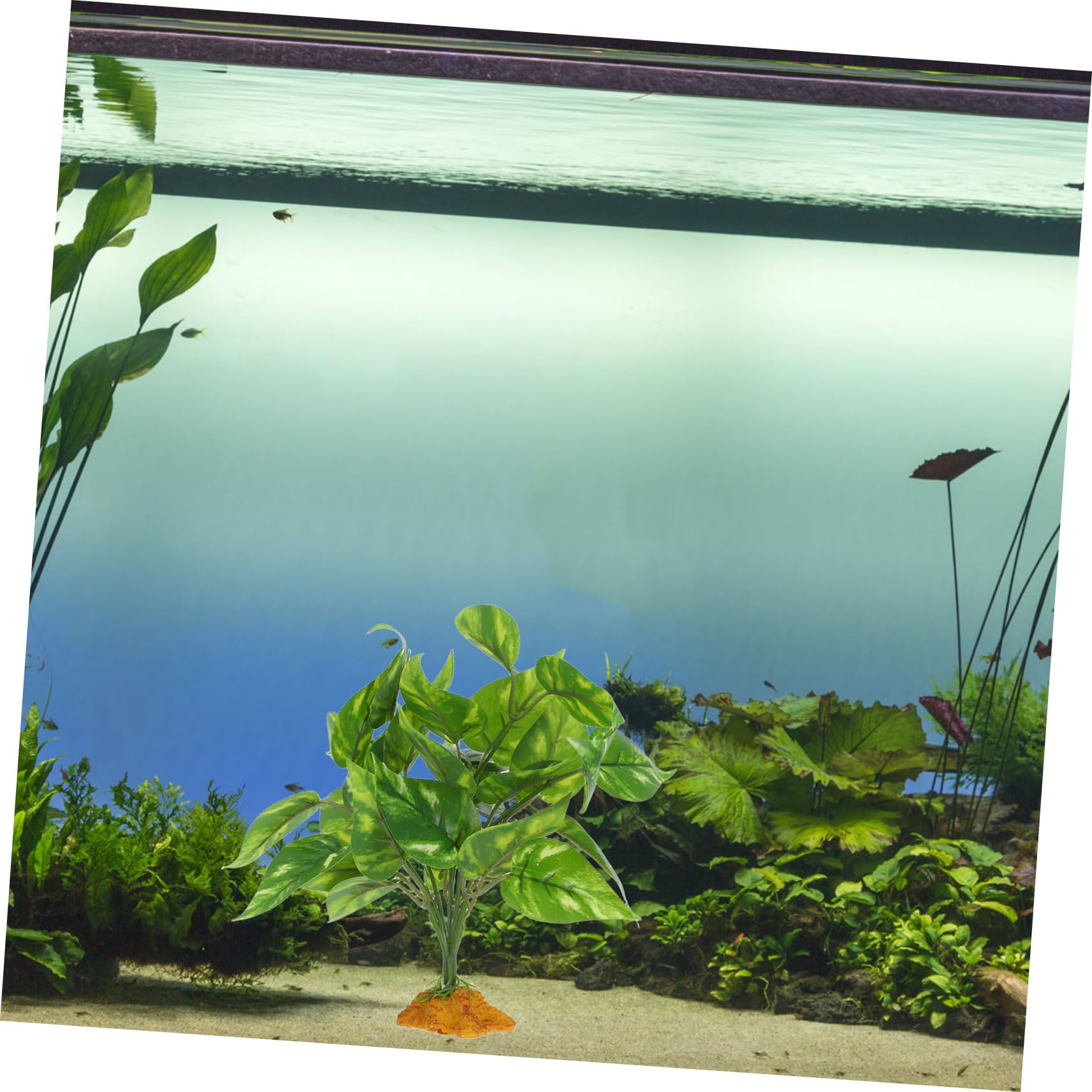 SEWOART Bartagamen-Aquarium-lebensraum- Knstliches Wassergras  Aquariumpflanzen Leicht Zu Reinigen Knstliche Wasserpflanzen-Dekorationen  : Amazon.de: Haustier