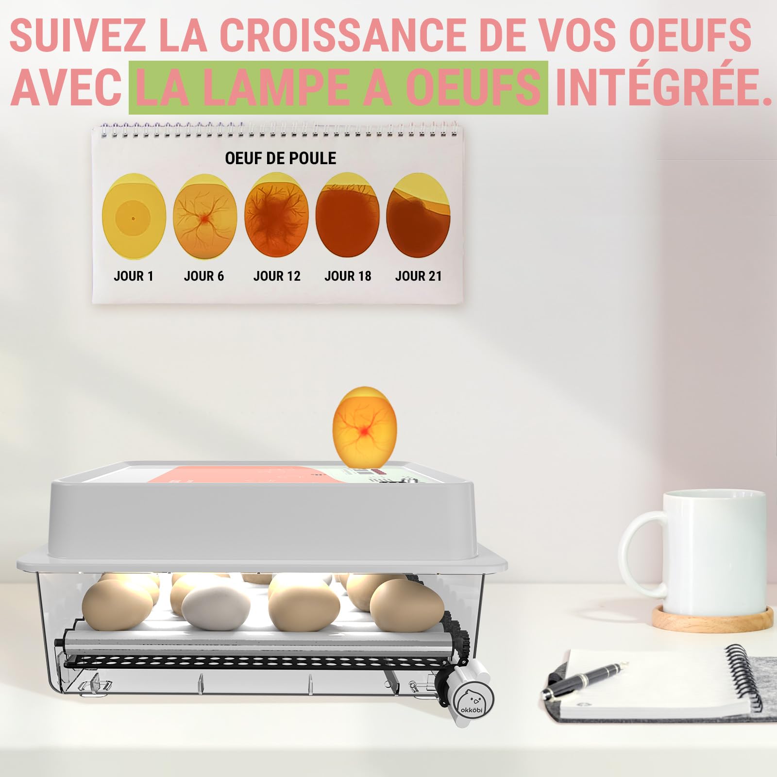 OBI-36 Couveuse Automatique – Incubateur à œufs pour 36 œufs avec Retournement Automatique - Couveuse Poule pour œufs de Poule, Caille et Canard - Orange