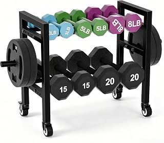 2-Tier Dumbbell Rack Small Weight Rack For Home Gym