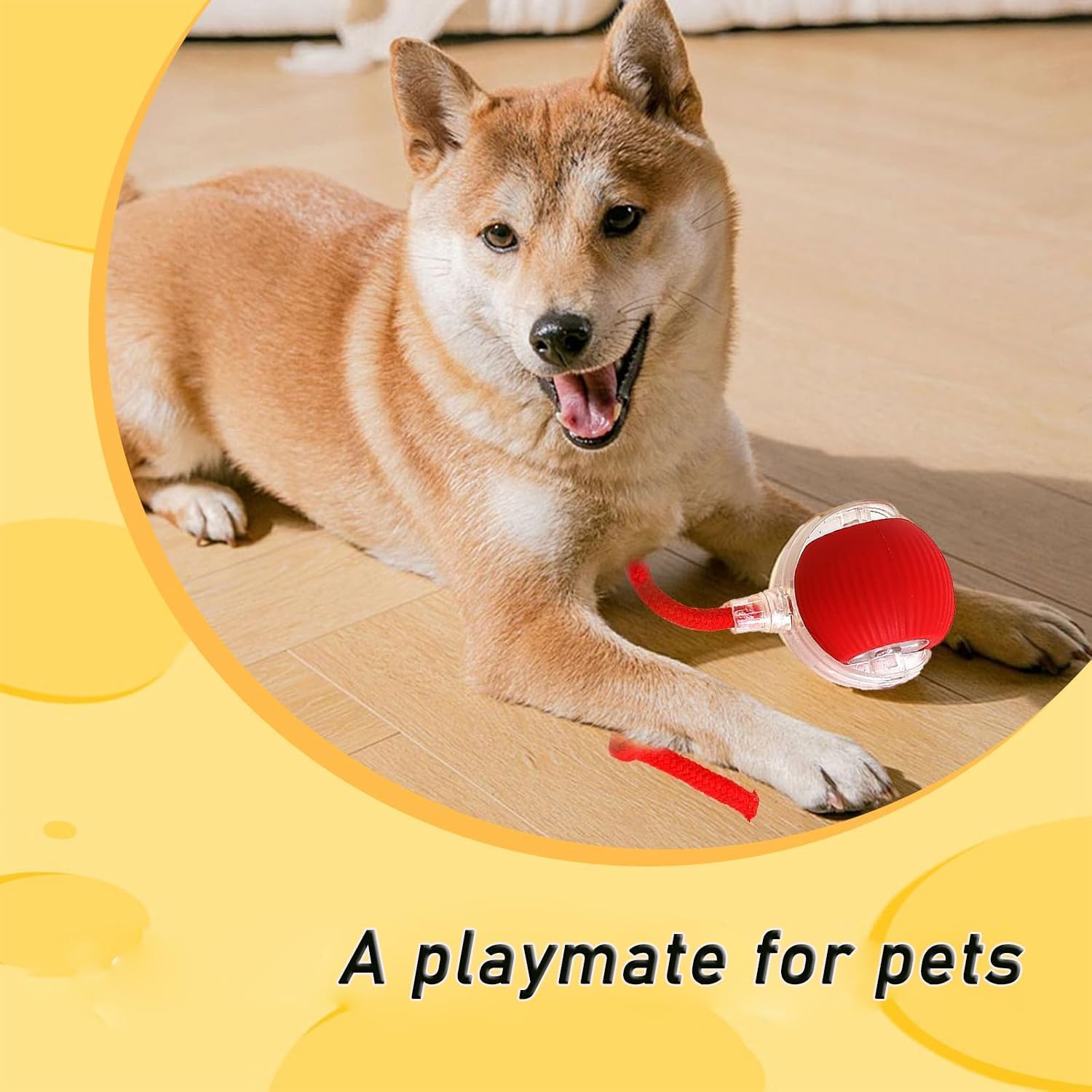 Interactive Dog Ball - Automatic Moving Cat Toy Puppies Toys - Motion Activate 360° Smart Automatic Rolling Pet Ball for Indoor (Red) - 3