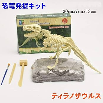 Amazon | 正直屋 恐竜発掘骨格 化石発掘キット 化石 発掘
