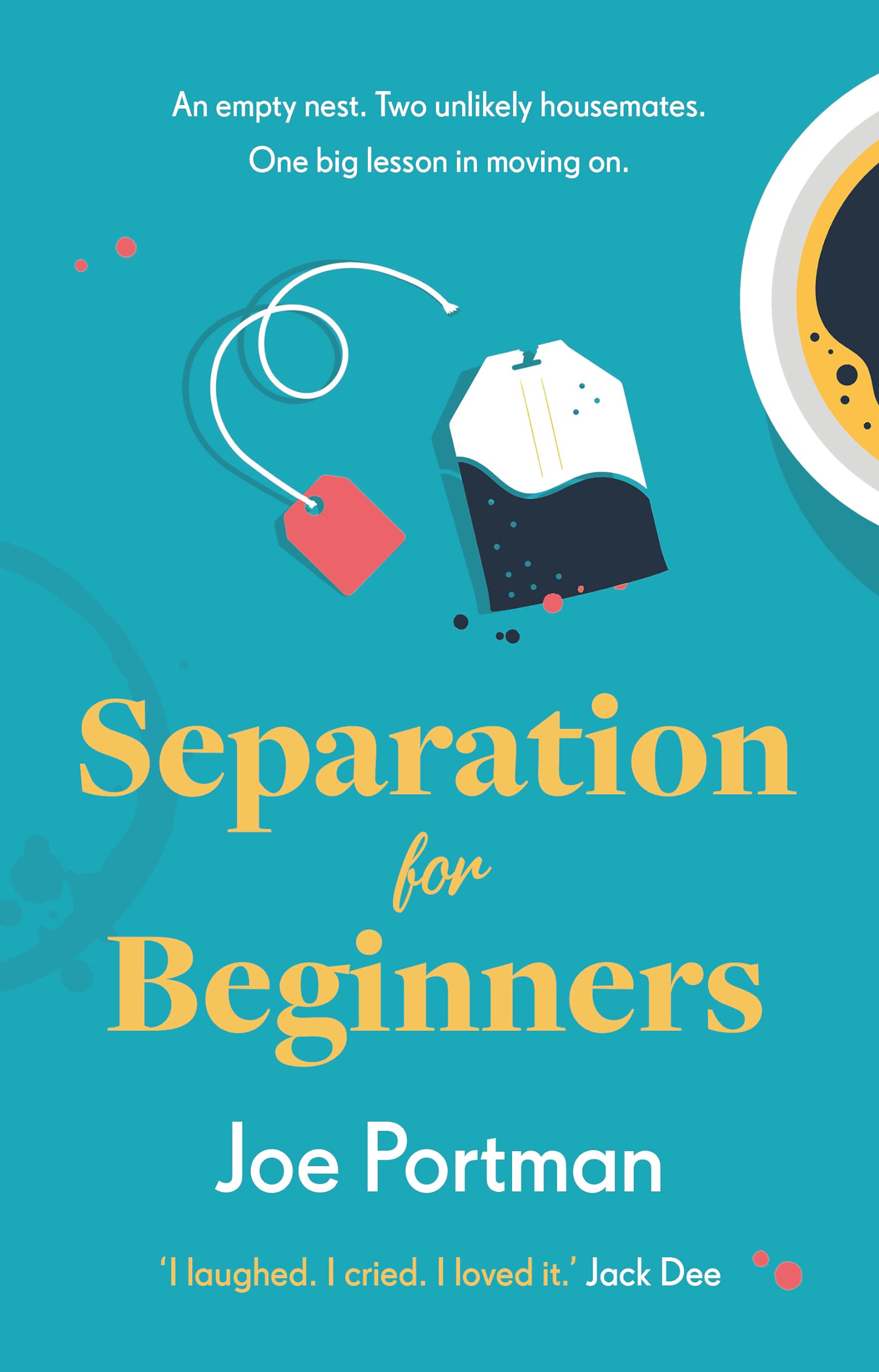 Buy Separation for Beginners — BookShops.in