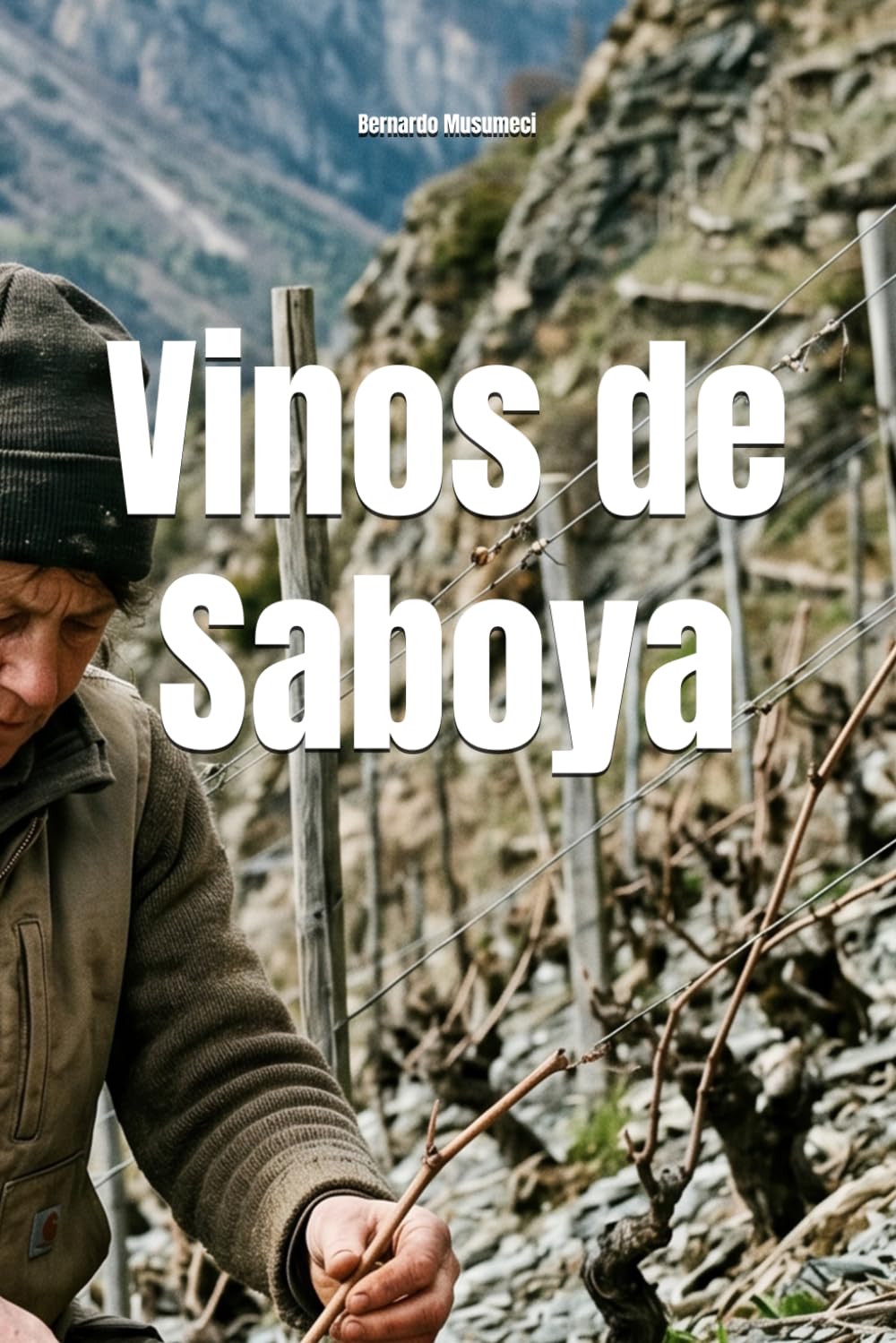 Vinos de Saboya (Wines of the World: France)