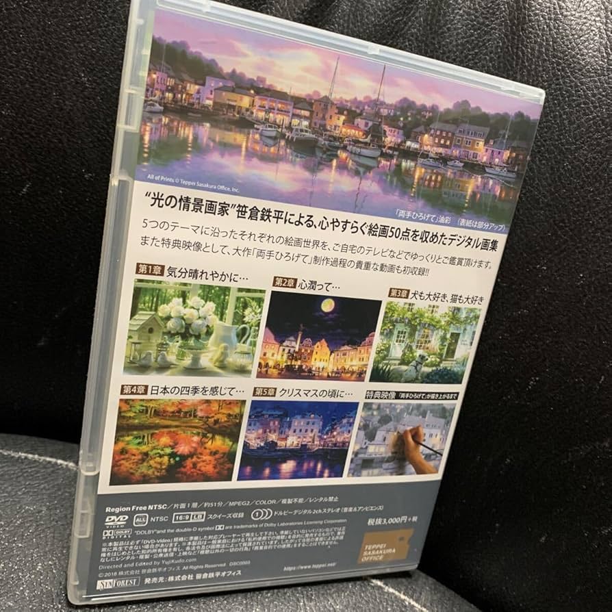 笹倉鉄平の絵画世界　DVD 中古品　特製カード有り 笹倉鉄平の絵画世界 DVD 中古品 特製カード有り 笹倉鉄平の絵画世界