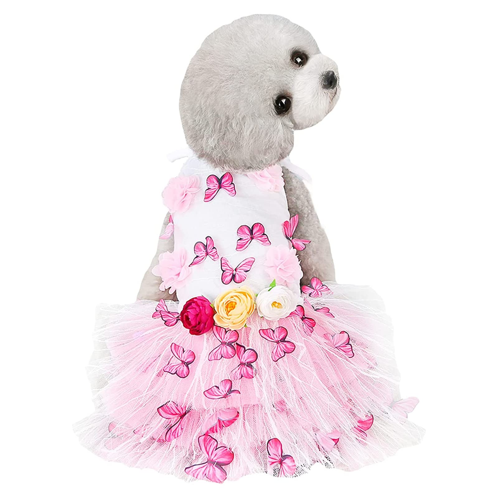 Robe de mariée pour chien avec dentelle élégante et motif papillon fleur