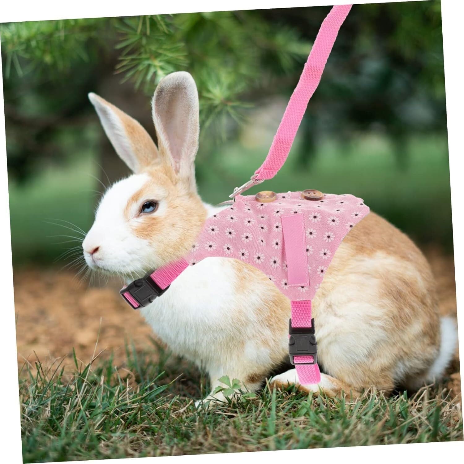 Round Mold for English Muffins - Griddle Cooking Shaper for Breakfast 3 Pack Bunny Vest Harness Leash Rabbit Suit for Daily Walks Weekend Parties Breathable Easy to Clean Fashionable Pet Vest Set(S)