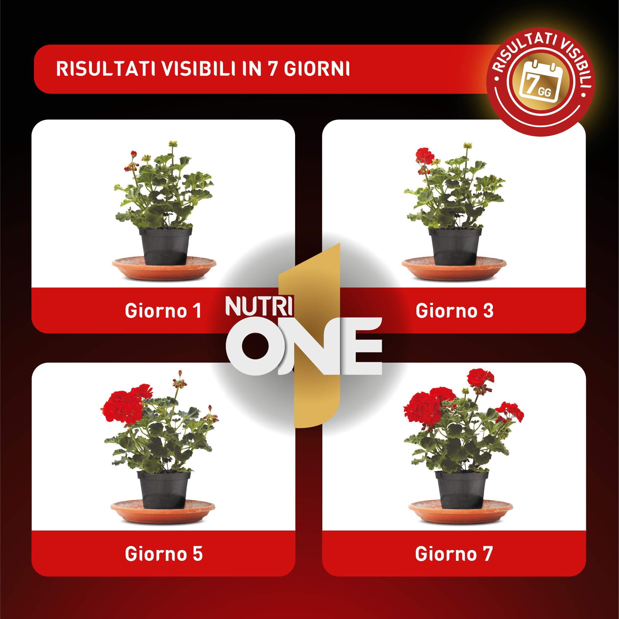 NutriONE Concime Liquido Concentrato per Piante e Fiori 1L