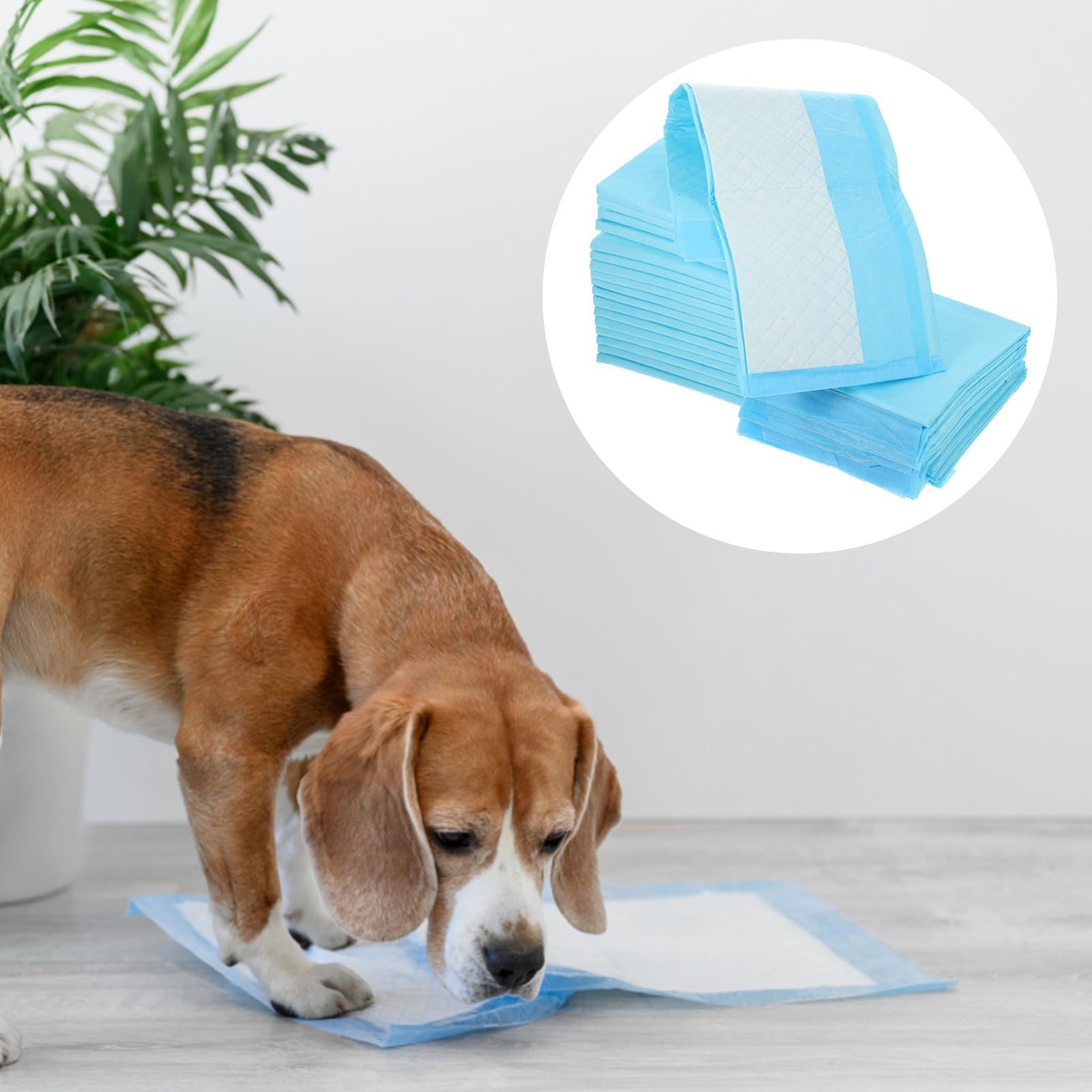 TOYANDONA 1 Set Tappetini Assorbenti Per Animali Domestici Traversine Per Addestramento Assorbimento E Design Traspirante Per Comfort Ottimale 50