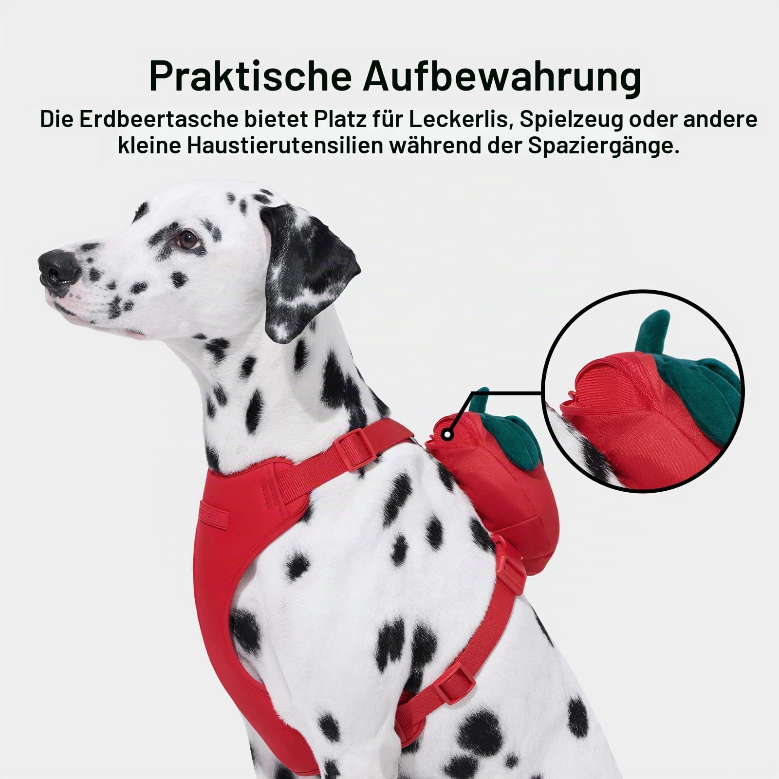 VETRESKA Set aus Geschirr und Leine für Hunde Strawberry, Geschirr ohne Zug für Spaziergänge und Dressur, verstellbar, leicht zu kontrollieren, gepolstert und weich, mit Rucksack (XXS)
