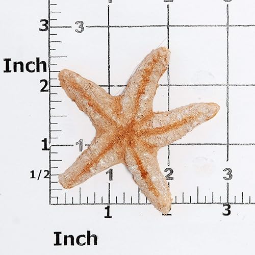 Miniatura 2 de Molde de silicona para estrellas de mar, fondant seguro para alimentos, chocolate, caramelo, resina, arcilla polimérica, epoxi.