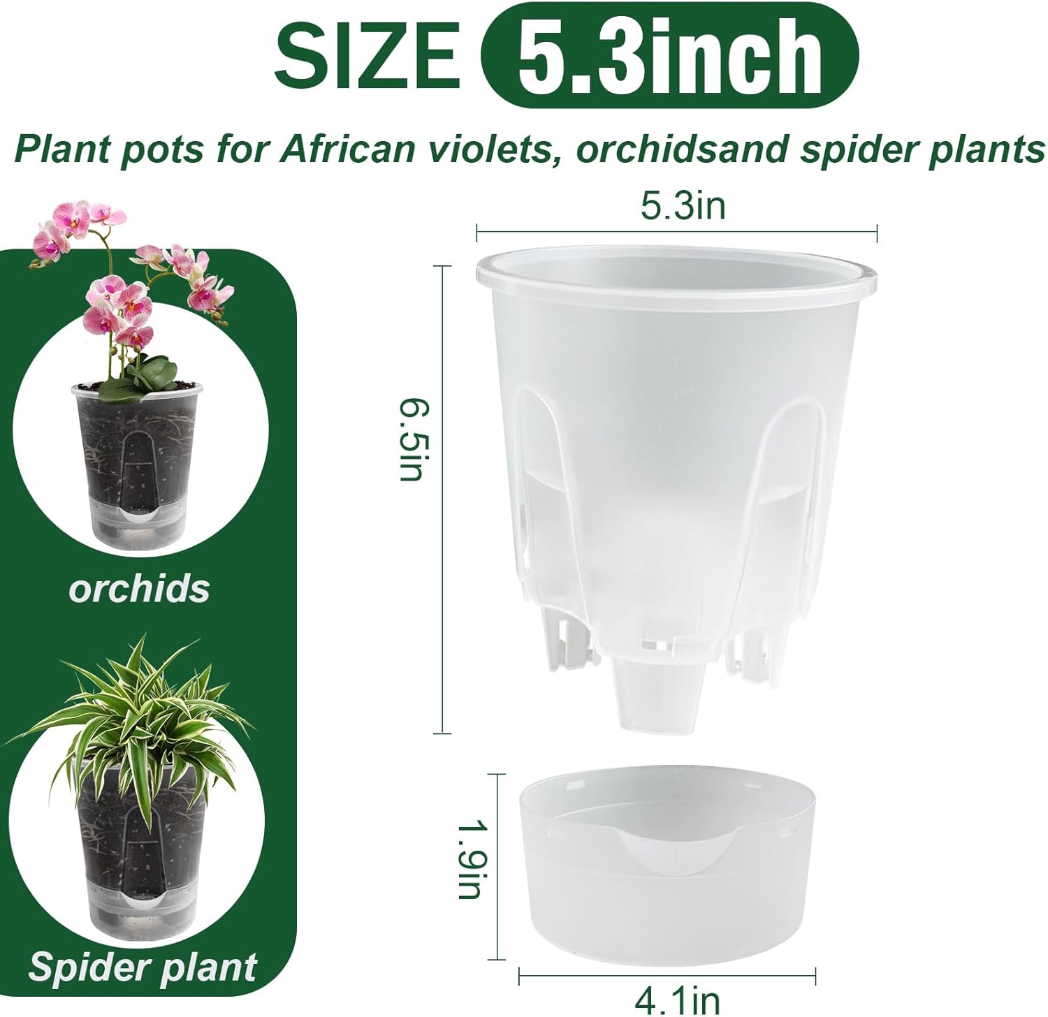 Cdd's Path Upgraded 5-Pack 6 Inch Naked Root Planter Self Watering Pots Set, Plant Pots with Holes for Indoor/Outdoor Plants with Watering Hole/Reservoir and Air Pipes, Clear - Image 4