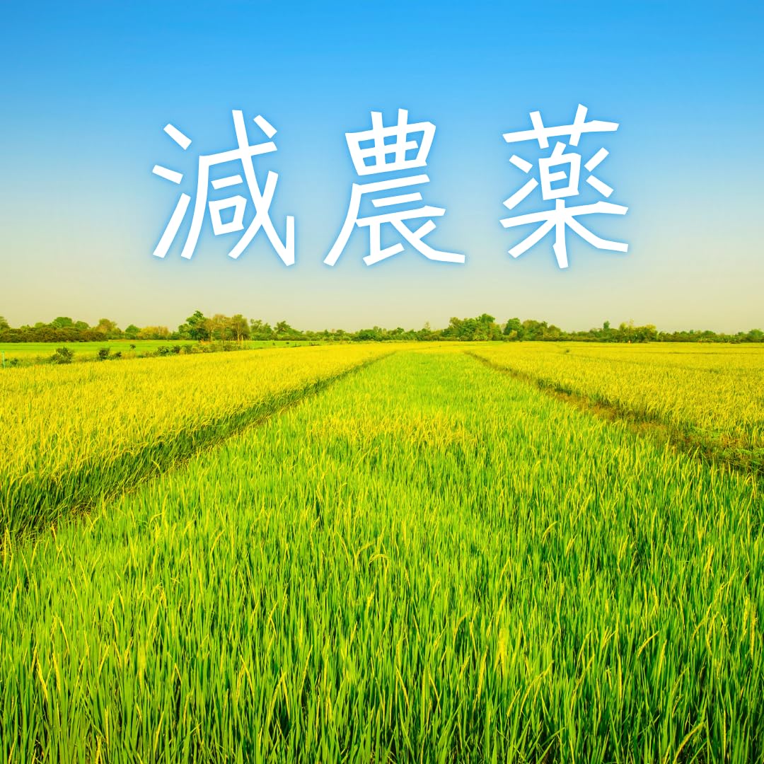 Amazon.co.jp: 長野県産 コシヒカリ /【信州アルプスの麓育ち】 精米