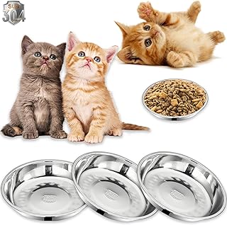 Stainless Steel Cat Food Bowls