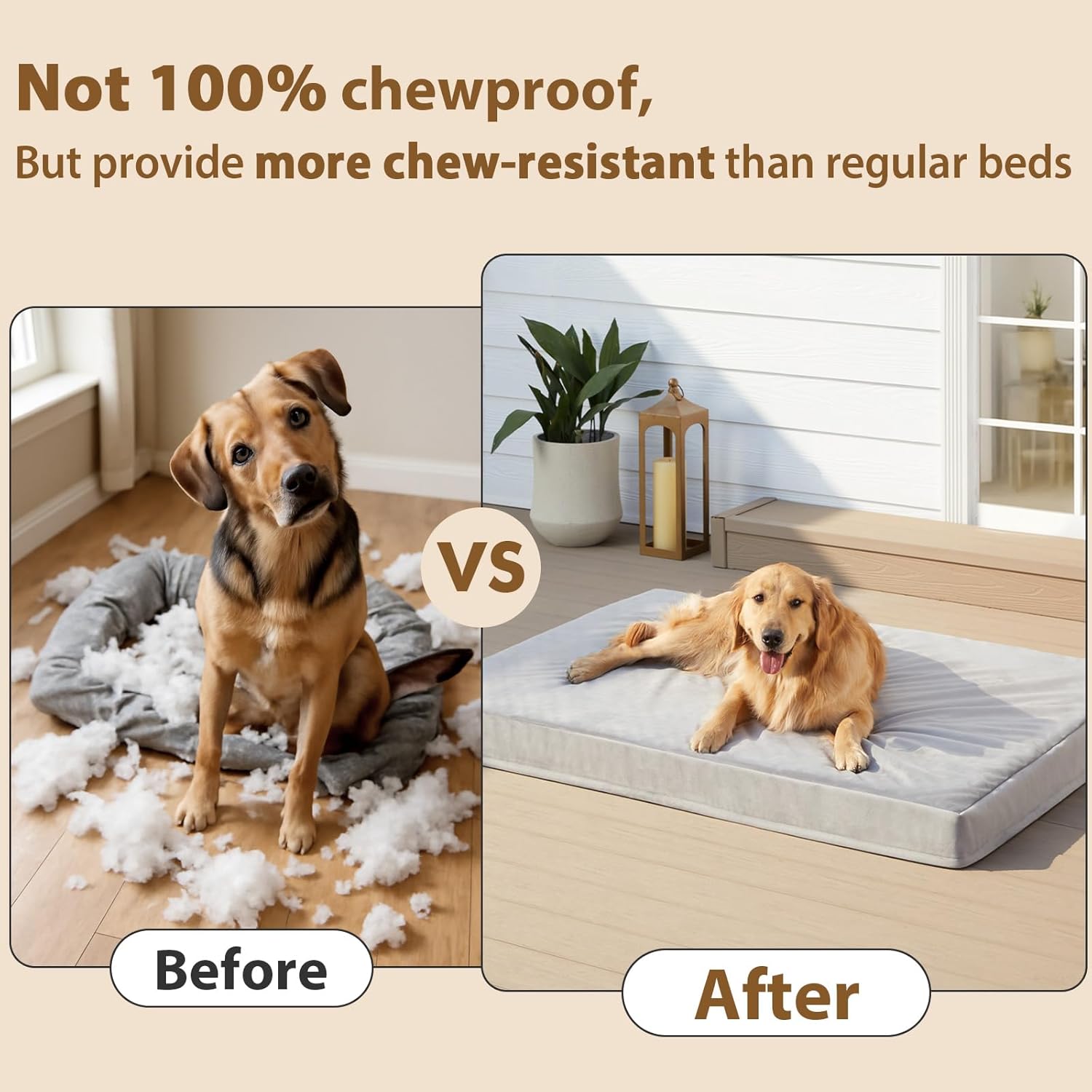 Unleash Comfort: The Indestructible Dog Bed Your Large Pooch Deserves!