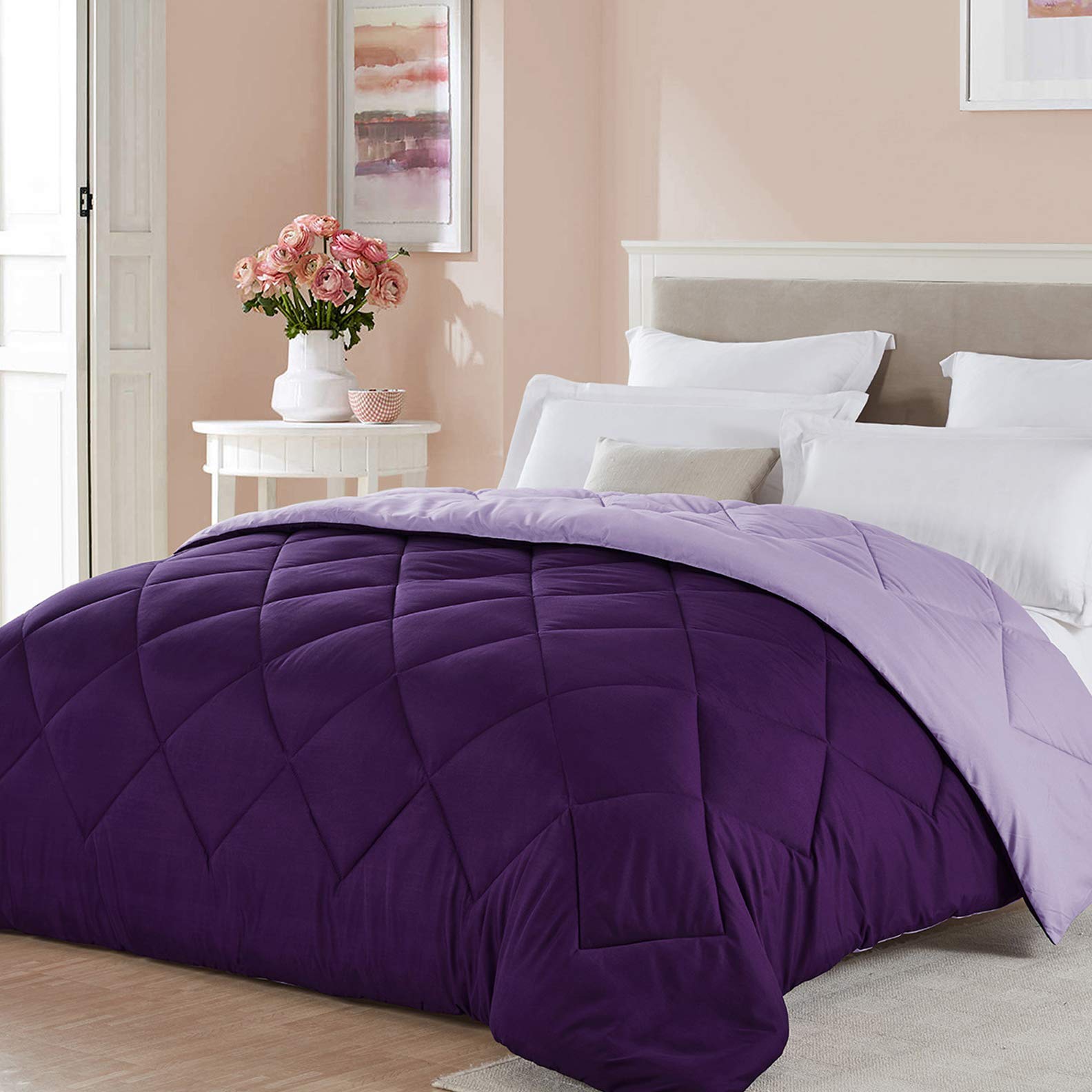 Seward Park Full/Queen Size Reversible Comforter Kids Lightweight Microfiber Fill Girls Bedding All Season Spring Summer Bedspread Blanket Lavender Plum/Light Dark Purple